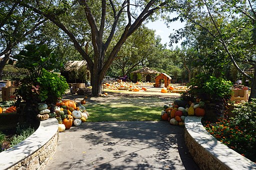 Dallas_Arboretum_and_Botanical_Garden_September_2017_22_(Pecan_Grove_Pumpkin_Village)