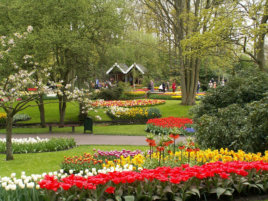 Keukenhof Gardens flickr by stevekc